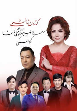 ھەلىمە يۈسۈپ چوڭ تىپتىكى ناخشا كېچىلىكى