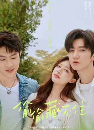 دىلدىكى سۆيگۈ