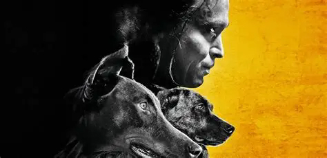 ئىتقا ئامراق ئەر