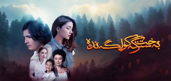 بەخت سىزگە كۈلگەندە