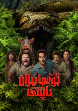 يېڭى بوغما يىلان ئاپىتى